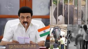 திருச்செந்தூர் கோவில் யானை தெய்வானை தாக்கி இருவர் பலி.. இரங்கல் மற்றும் நிதியுதவி அறிவித்த முதல்வர்!