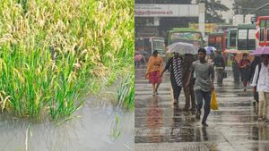 நாகப்பட்டினத்தில் ஒரே நாளில் 18 செமீ மழை.. டெல்டாவில் நீரில் முழ்கிய 30 ஏக்கர் நெற்பயிர்கள் 