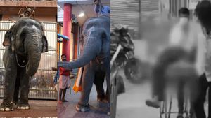 பெண் யானைக்கு மதம் பிடிக்காது! தெய்வானை ஆக்ரோஷமானது ஏன்? வன அலுவலர் பரபரப்பு பேட்டி 
