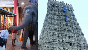 45 நிமிடம் சாற்றப்பட்ட திருச்செந்தூர் கோயில் நடை.. கோயில் யானை மிதித்து இருவர் பலியானதால் பரிகாரம் 