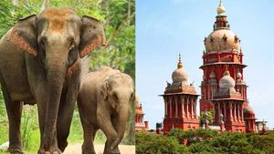 யானைகள் வழித்தடத்தில் கொள்ளை போகும் மண்.. தமிழக அரசுக்கு உயர்நீதிமன்றம் அதிரடி உத்தரவு 