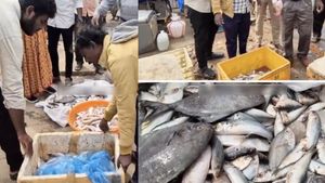 10 நாளாக கடலுக்கு போகலை! அப்பறம் 100 பெட்டிகளில் மீன்கள் எப்படி? ஆய்வு செய்த அதிகாரிகளுக்கு ஷாக்! 