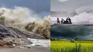 உச்சத்தை நெருங்கும் வடகிழக்கு பருவமழை! வங்கக் கடலில் மயிலிறகு! விவசாயிகள், மீனவர்களுக்கு எச்சரிக்கை
