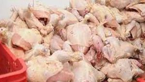 தாராபுரத்தில் நூல் நூலாக தொங்கிய இறைச்சி..பிரபல ஓட்டல் ஃபிரிட்ஜில் சிக்கனை கண்டு ஆடிப்போன திருப்பூர் 
