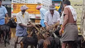 நாமக்கல்லில் சரிந்த ஆடுகள்.. சந்தைக்கு வந்த 