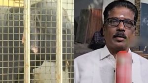 எழுந்திருங்க.. பாகனின் உடலை தடவி அழுத திருச்செந்தூர் கோவில் யானை தெய்வானை! கண்ணீர் விட்ட பக்தர்கள்.! 