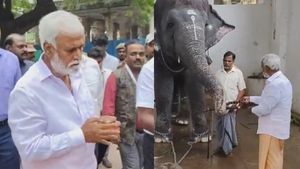 திருச்செந்தூர் கோயில் யானைக்கு கரும்பு கொடுத்த சேகர் பாபு.. ருசித்து சாப்பிட்ட தெய்வானை! நெகிழ்ச்சி 