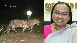 சிறுத்தை நடமாட்டம்.. இரவு நேரங்களில் பொதுமக்கள் தனியே செல்ல வேண்டாம்..  வேலூர் கலெக்டர் வேண்டுகோள் 