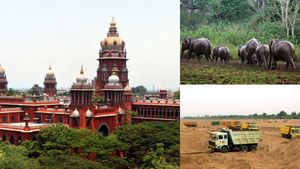 20,000 லாரிகளில் மண் அள்ள அனுமதித்தது யார்? கோவை யானை வழித்தட வழக்கில் ஹைகோர்ட் சரமாரி கேள்வி 