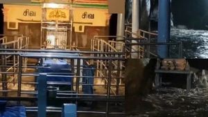 பஞ்சலிங்க அருவியில் வெள்ளப்பெருக்கு.. திருப்பூர் திருமூர்த்தி மலை கோயிலுக்குள் புகுந்த வெள்ள நீர்