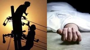 மின்கோபுரத்தில் தொங்கிய உடல்.. திருச்சியில் மின்சாரம் தாக்கி மின்வாரிய  ஊழியர்கள் 2 பேர் பலி 