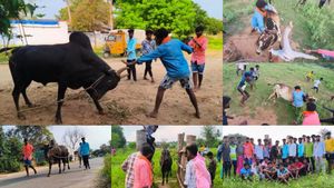  Exclusive: டோக்கன் கிடைக்கல சார்.. ஐபிஎல்லை விஞ்சிய 'கார்ப்பரேட்’ ஜல்லிக்கட்டு! குமுறும் வீரர்கள்!
