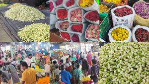  இவ்வளவு நாளா எங்கயா இருந்த? வருஷ கடைசியில் ஷாக் கொடுத்த மல்லிகை! விலையைக் கேட்டாலே மயக்கம் வருதே!