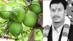 இளநீர் கேட்ட கர்ப்பிணி மனைவி..  வேக வேகமாக தென்னை மரம் ஏறிய கணவர்.. அடுத்த செகண்டே ஆடிப்போன கடலூர்