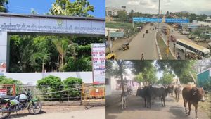  மாடுகளால் அபாயம்.. மக்கள் உயிர் முக்கியமில்லையா? ஆட்சியர் உத்தரவை மதிக்காத திண்டுக்கல் அதிகாரிகள்