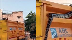 பொள்ளாச்சி கோயில் வளாகத்தில் இருந்த குப்பை.. லாரியில் கொட்டும் போது.. வெளியே எட்டிப்பார்த்த விஐபி 