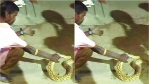 வேலூரில் கண்ணாடி விரியன் பாம்பிடம் போதையில் அரை மணி நேரமாக பேச்சுவார்த்தை.. காண்டாகி செய்த காரியம் 