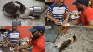 கடலூரில் பால் குடிக்க வந்த திருட்டு பூனை.. தலையில் சிக்கிய சொம்பு.. 2 மணி நேர டென்ஷன்.. இப்ப நிம்மதி 