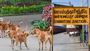 கோவையில் நள்ளிரவில் தெருநாய்களை குறிவைத்து செக்ஸ் டார்ச்சர்.. கையும், களவுமாகப் பிடித்த மக்கள்