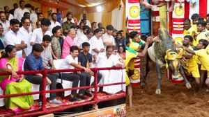 இன்பநிதிக்காக எழுந்தேனா? அலங்காநல்லூர் ஜல்லிக்கட்டில் நடந்தது என்ன? மாவட்ட ஆட்சியர் விளக்கம் 