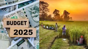 பட்ஜெட் 2025: இலக்கை எட்டாமல் சொதப்பும் வேளாண்துறை.. 54% இந்தியர்களின் வாழ்வாதாரம் அவ்வளவுதானா!