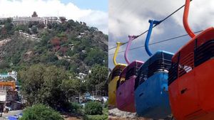  தைப் பூசம்: முருகனை பார்க்க கூட்டம் அள்ளுது.. பழனி பாத யாத்திரை பக்தர்களுக்கு முக்கிய அறிவிப்பு!