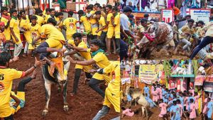 அவனியாபுரம், பாலமேடு ஜல்லிக்கட்டில் வென்றவர்கள் யார்? எத்தனை மாடு பிடித்தனர்? பரிசு என்ன? முழுவிவரம்