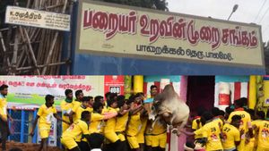 வெடித்தது போராட்டம்! ஜல்லிக்கட்டில் ஜாதி பாகுபாடு! பாலமேட்டில் கருப்பு கொடி ஏற்றிய தலித் சமூகத்தினர் 