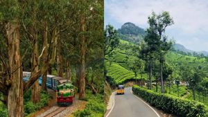 ஊட்டிக்கு செல்வோரின் மிகப்பெரிய கனவு.. மேட்டுப்பாளையத்தில் 2 மாதத்தில் நடக்க போகும் நல்ல விஷயம் 