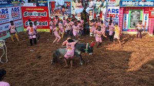  அனல் பறக்கும் அவனியாபுரம், அலங்காநல்லூர் ஜல்லிக்கட்டு.. வீரர்கள், காளைகளுக்காக முன்பதிவு தொடங்கியது 