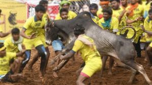 சூரியூர் ஜல்லிக்கட்டில் உயிரிழந்த காளை.. வாடிவாசலில் நிகழ்ந்த அந்த சம்பவம்.. என்ன நடந்தது? 