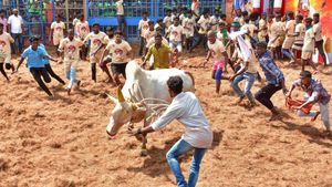  முதல் ஜல்லிக்கட்டு.. தச்சன்குறிச்சியில் இன்று தொடக்கம்! புதுக்கோட்டையில் உற்சாகம் 
