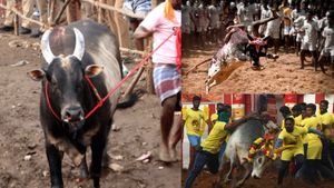  ஆயிரம் மாடெல்லாம் அவிழ்க்கல சார்.. 700 களைகள் தான் மொத்தமே! அலங்கநல்லூரில் குமுறிய காளை ஓனர்கள்!