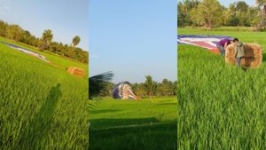 பொள்ளாச்சி சர்வதேச பலூன் திருவிழாவில் மீண்டும் பரபரப்பு.. கேரளாவுக்கு திசை மாறிய பலூன்.. என்னாச்சு? 