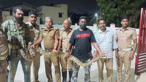 லபக்கென விழுங்கிய 10 அடி நீள மலைப் பாம்பு.. நகர முடியாமல் நெளிந்து.. பரபரத்த தஞ்சாவூர்