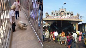 அம்மனை பார்க்க போனால் ஆஸ்பத்திரிக்கு தான் போகனுமோ? சமயபுரத்தில் ’லொள் லொள்’ தொல்லை! பதறும் பக்தர்கள் 