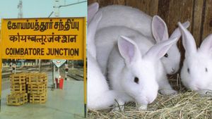 முயல் ரத்தத்தில் ஹேர் ஆயில் தயாரிக்கலாமா? கோவையில் திடீர் ரெய்டால் பரபரப்பு