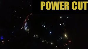 இலங்கை முழுவதும் திடீர் மின்வெட்டு.. குரங்கு தான் காரணமா? பொதுமக்கள் கடும் அவதி - பின்னணி