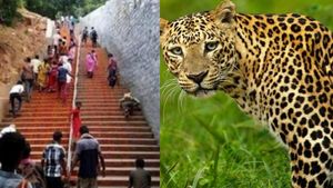 திருப்பதி அலிபிரி மலை பாதையில் சிறுத்தை நடமாட்டம்! பக்தர்களுக்கு புதிய நிபந்தனைகள்!