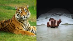 ஊட்டியில் இளைஞரை கொன்று தின்ற புலி.. விறகு சேகரித்த போது நிகழ்ந்த விபரீதம்.. என்ன நடந்தது? 