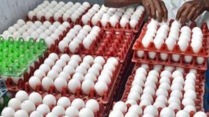 ஆப்பாயிலுக்கு ஆப்பு.. சர்ருனு சரியுதே முட்டை விலை! பறவைகாய்ச்சல்.. யார் கிளப்பி விட்டாங்கனு தெரியல! 