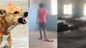 வெறிநாய் கடித்ததால் பயம்.. ஆஸ்பத்திரியிலேயே கழுத்தை அறுத்து தற்கொலை செய்த இளைஞர்! கோவையில் ஷாக்! 