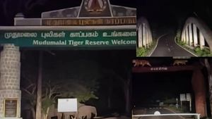 பந்திப்பூர் வனப்பகுதியில் இரவு நேர வாகன போக்குவரத்துக்கான தடையை நீக்க தேஜஸ்வி சூர்யா கடும் எதிர்ப்பு