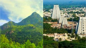 திருவண்ணாமலை மலையில் பிரான்ஸ் நாட்டு பெண்.. யார் அந்த சுற்றுலா வழிகாட்டி.. ஆடிப்போக வைத்த சம்பவம்