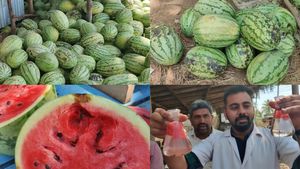 எவ்வளவு மோசம் தெரியுமா.. ஓசூர் தர்பூசணி வியாபாரிகள் பண்ண வேலையை பாருங்க! 