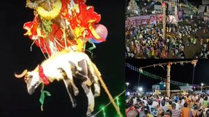 கோவையில் தங்கத்தால் மின்னிய கோயில்.. கள்ளக்குறிச்சி மரத்தில் ஆடு தொங்குதே? கிளியூரில் வினோதம்