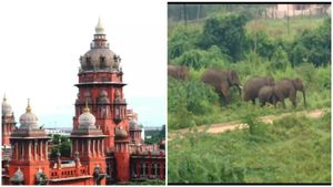யானை வழித்தடத்தில் மண் கொள்ளை! விசாரணையில் முன்னேற்றம் இல்லை.. நீதிமன்றம் அதிருப்தி