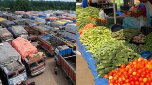 திடீர் லாரி ஸ்டிரைக்.. கர்நாடகா, சென்னையில் எரிபொருள், காய்கறி தட்டுப்பாடுக்கு சான்ஸ்! மக்களே கவனம்
