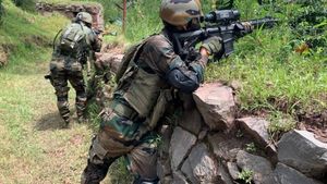 நீ வேணா சண்டைக்கு வா.. எல்லையில் தொடர்ந்து வாலாட்டும் பாகிஸ்தான்! ஒட்ட நறுக்க தயாரான இந்திய வீரர்கள்