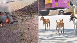 சென்னை டூ திண்டுக்கல்.. திடீரென குறுக்கே வந்த நாய்.. நிலம் வாங்க கொண்டு சென்ற 12 லட்சம் சாம்பல்